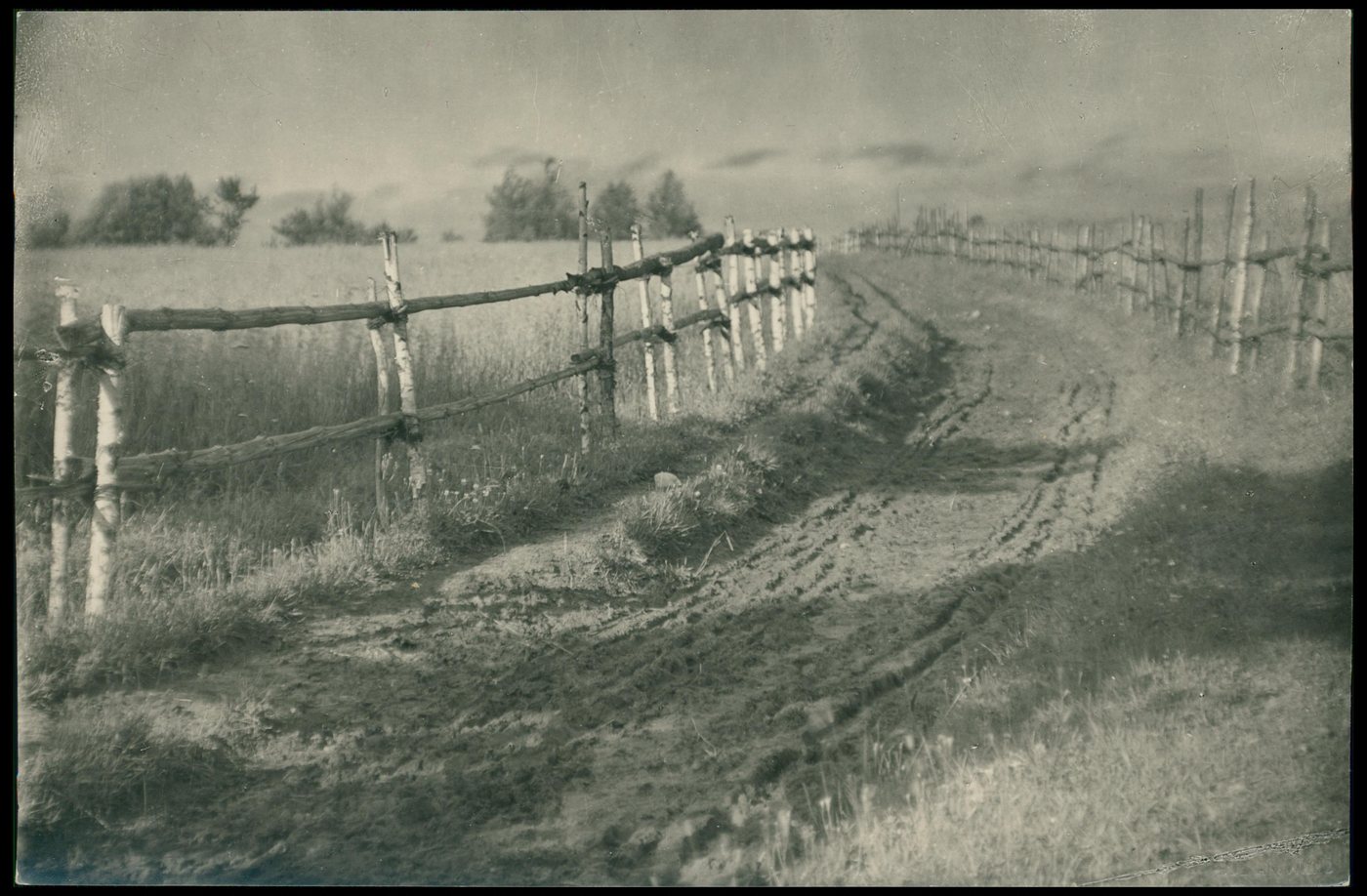 Wileńszczyzna, polna droga. Fot. Jan Bułhak (1876–1950)